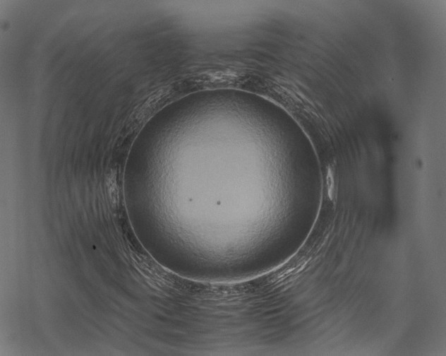 X0000070211395200605301351