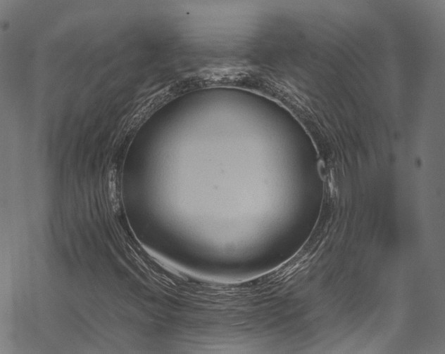 X0000070211396200605301351