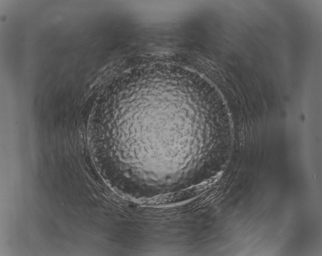 X0000070211397200605301351