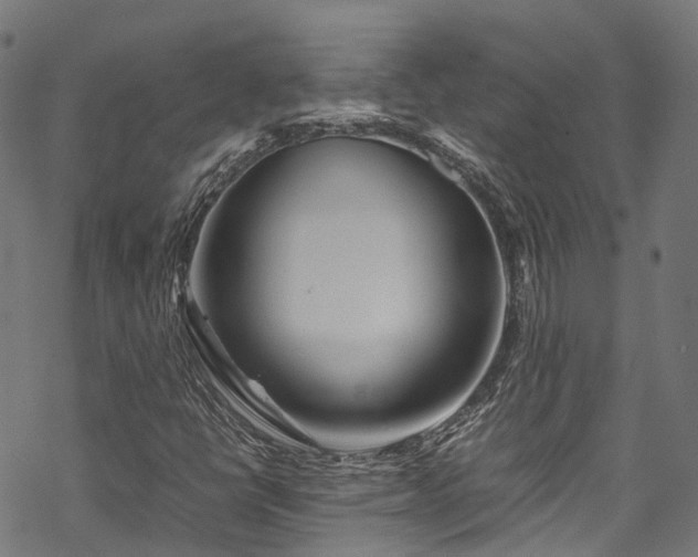 X0000070211398200605301351