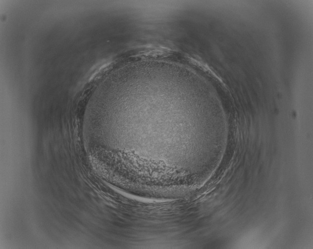 X0000070211399200605301351