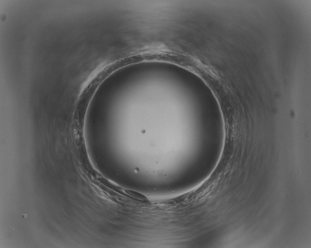 X0000070211400200605301351