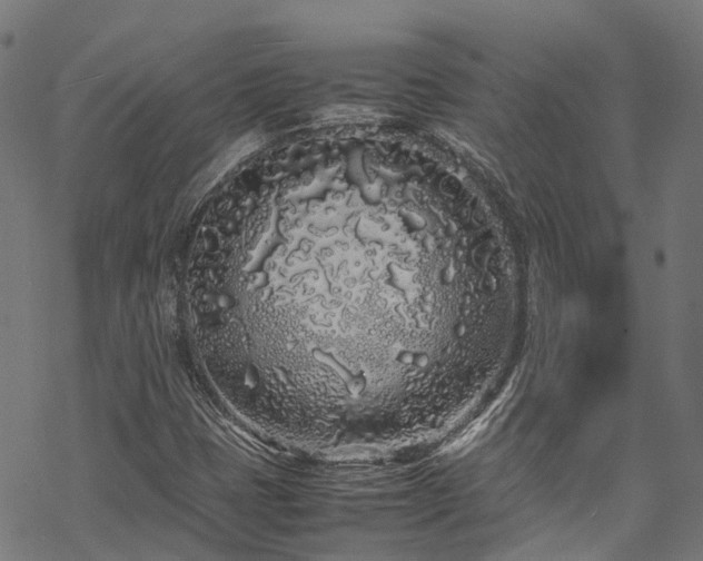 X0000070211401200605301351