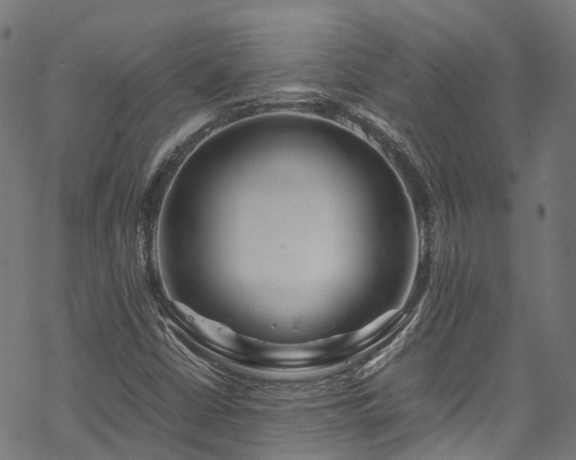 X0000070211402200605301351