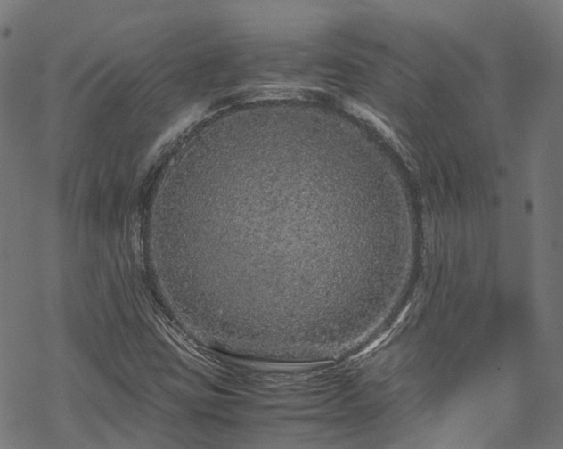 X0000070211403200605301351