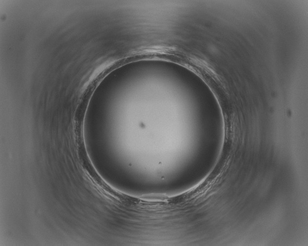 X0000070211404200605301351