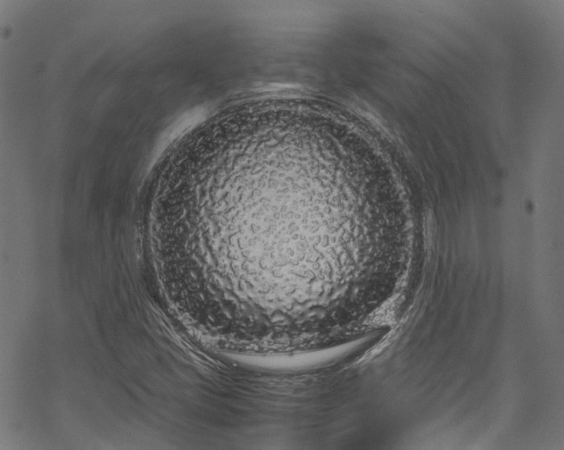 X0000070211405200605301351