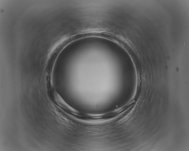 X0000070211406200605301351