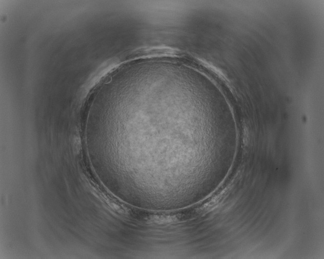 X0000070211407200605301351