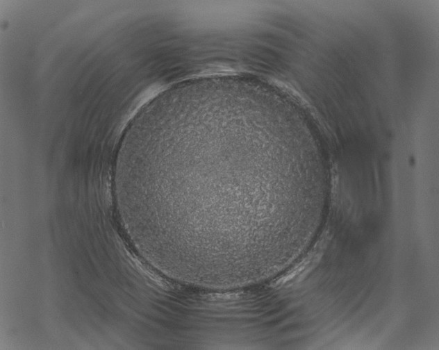 X0000070211409200605301351