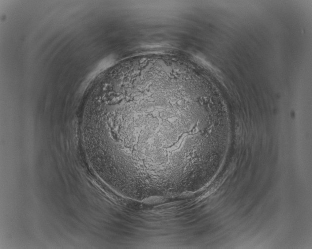 X0000070211411200605301351