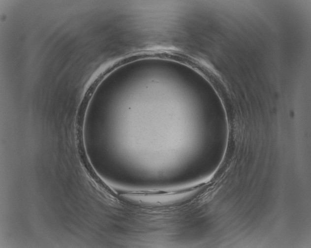 X0000070211412200605301351