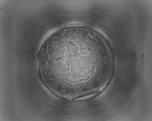 X0000070211413200605301351