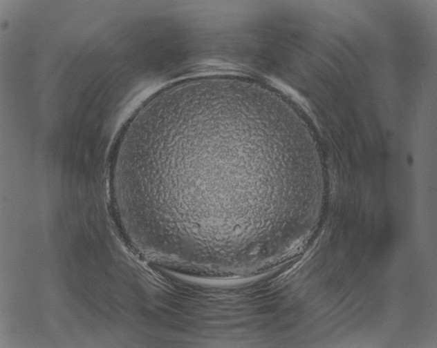 X0000070211415200605301351