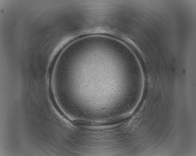 X0000070211416200605301351