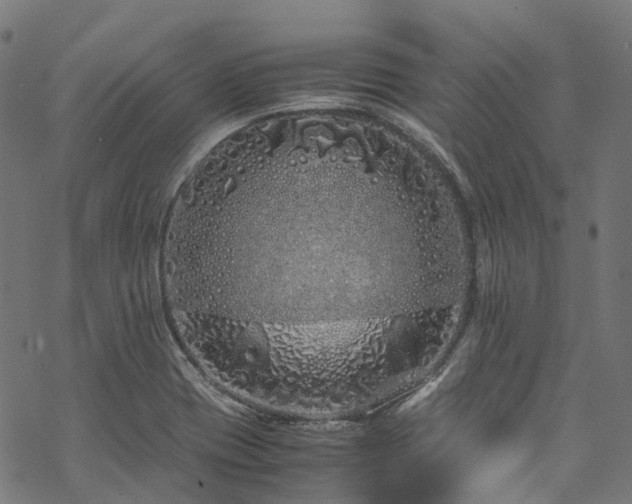 X0000070211417200605301351