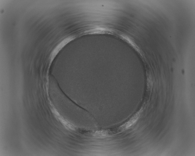 X0000070211418200605301351