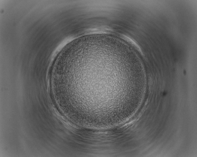 X0000070211419200605301351