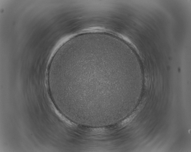 X0000070211421200605301351