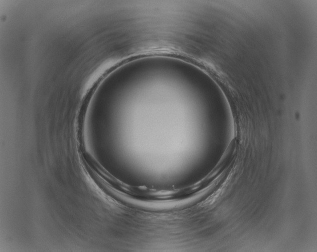 X0000070211422200605301351