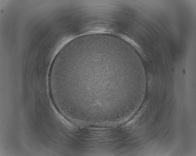 X0000070211423200605301351