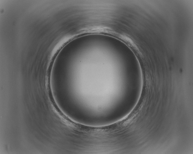 X0000070211424200605301351