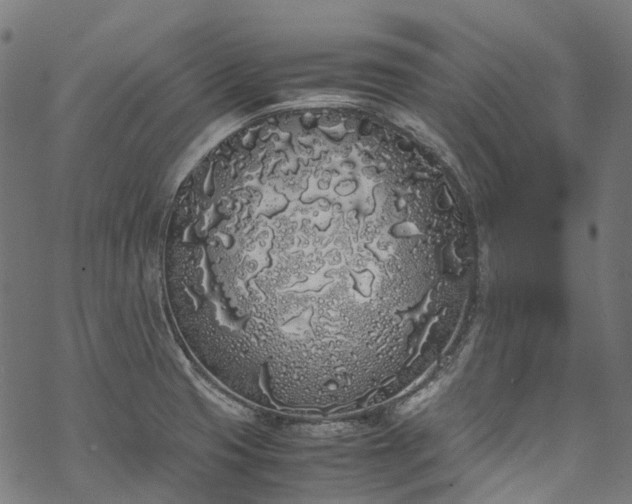 X0000070211425200605301351