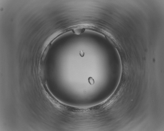 X0000070211426200605301351