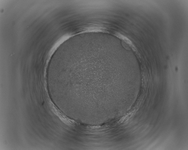 X0000070211427200605301351