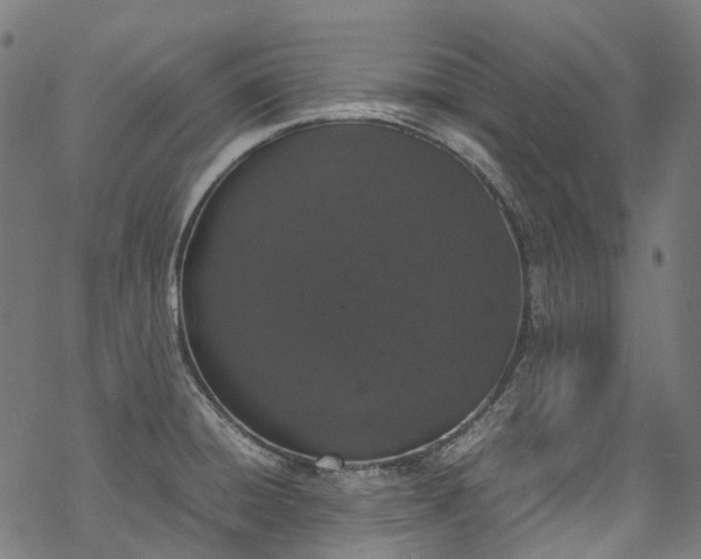 X0000070211428200605301351