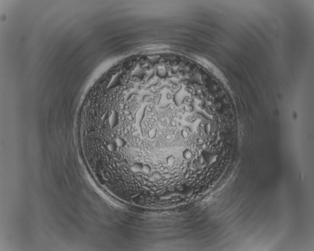 X0000070211429200605301351