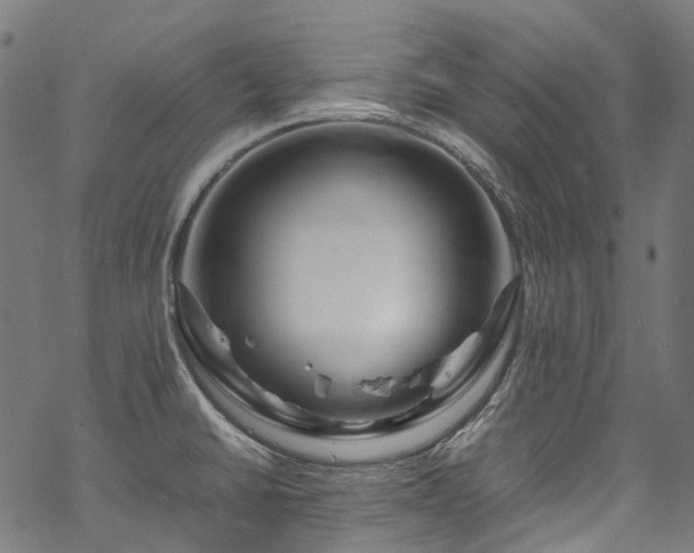 X0000070211430200605301351