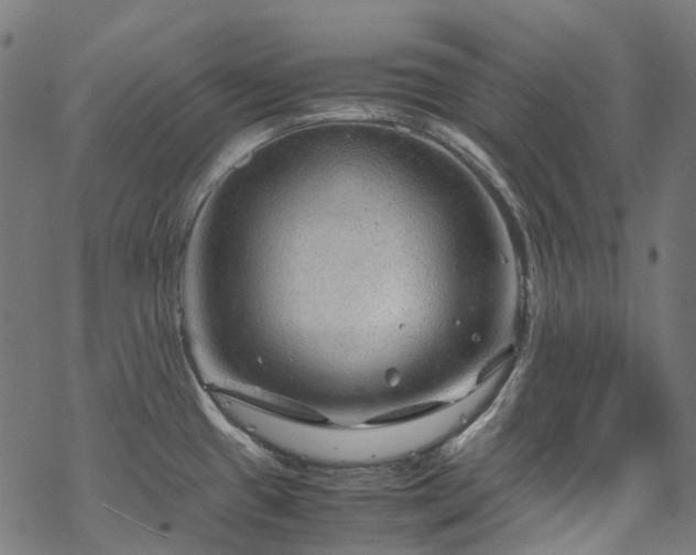 X0000070211433200605301351