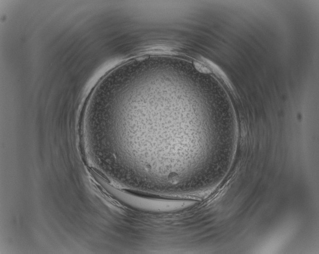 X0000070211435200605301351