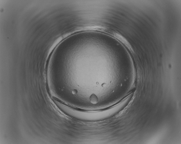 X0000070211436200605301351