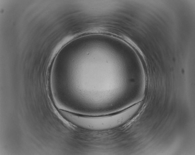 X0000070211437200605301351