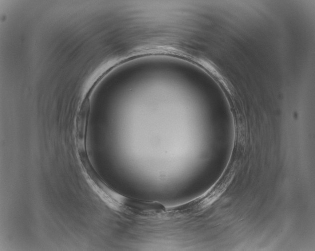 X0000070211438200605301351