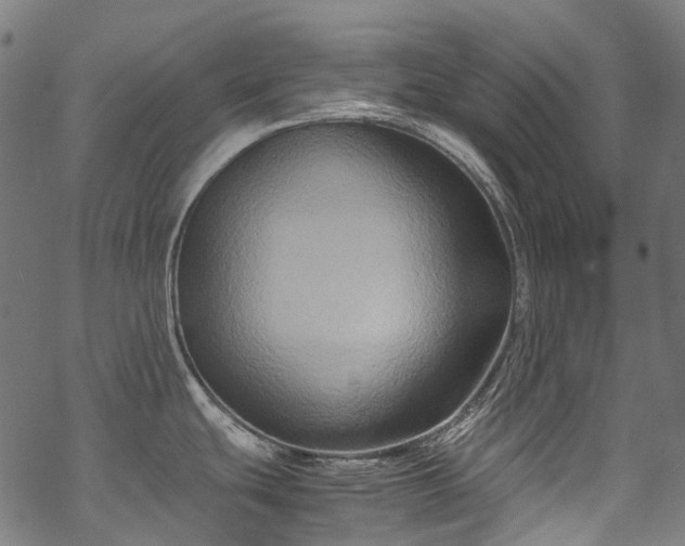 X0000070211439200605301351