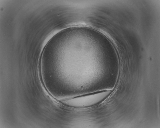 X0000070211440200605301351