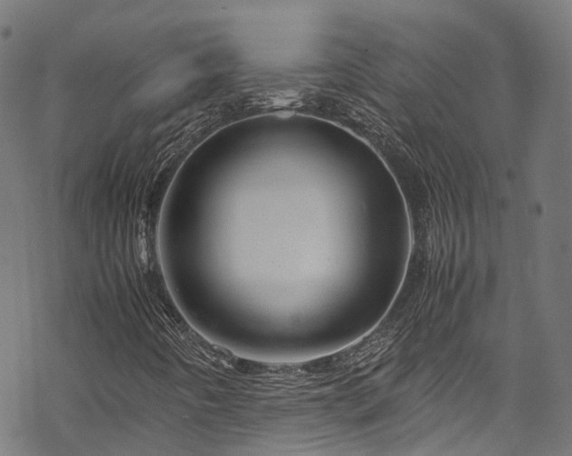 X0000070211442200605301351