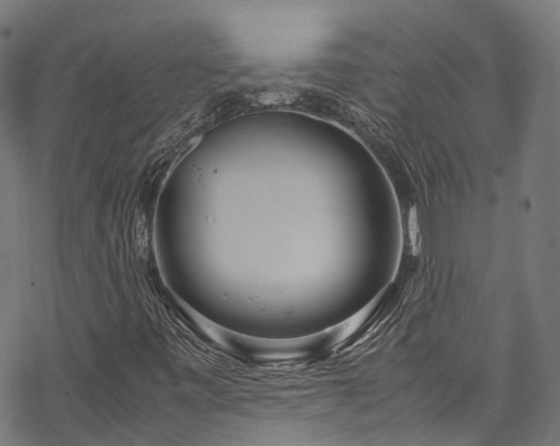 X0000070211443200605301351