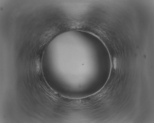 X0000070211444200605301350