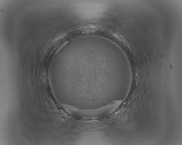 X0000070211445200605301350