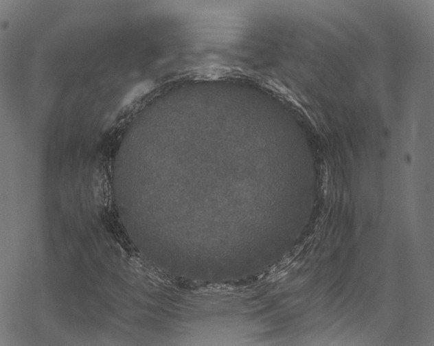 X0000070211446200605301350