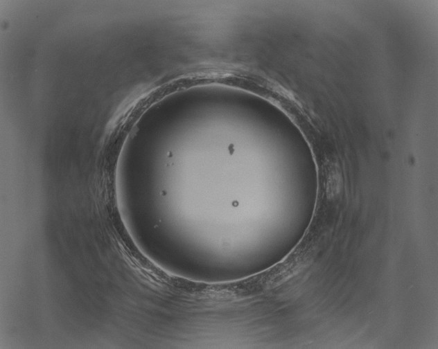 X0000070211448200605301350