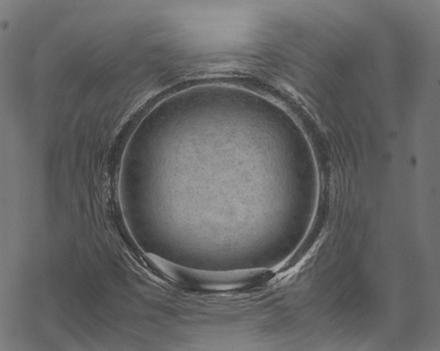 X0000070211449200605301350