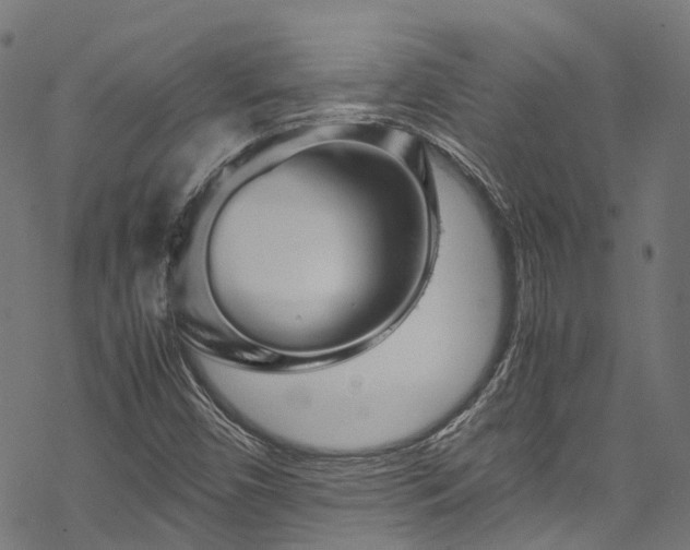 X0000070211450200605301350