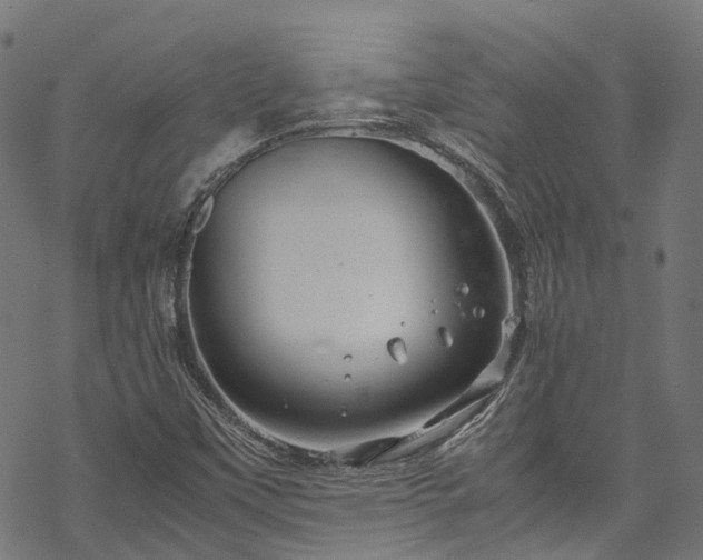 X0000070211451200605301350