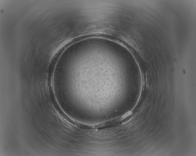 X0000070211452200605301350