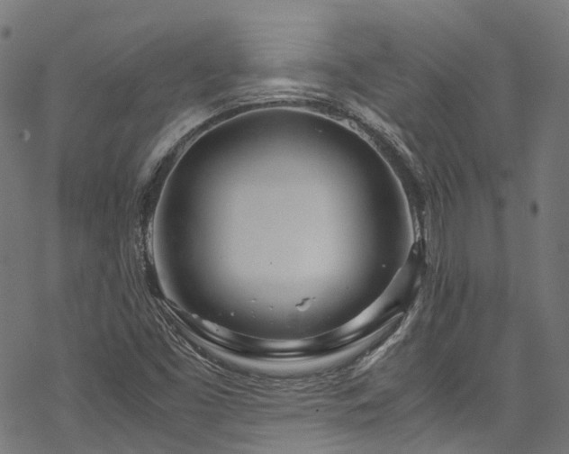 X0000070211453200605301350